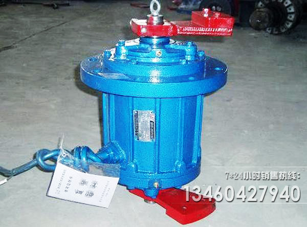 立式振動(dòng)電機(jī)圖片