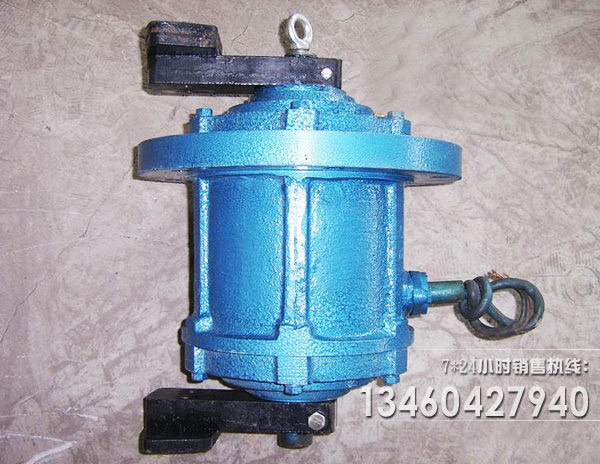 立式振動(dòng)電機(jī)圖片